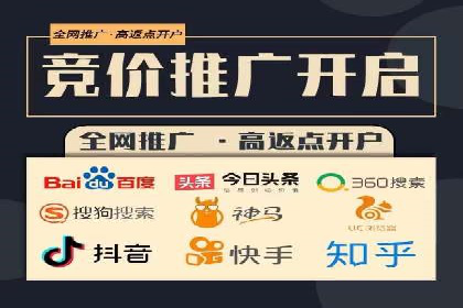 百度推广排名大揭秘：某电商平台的成功之路